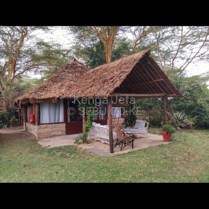 Makuti For Sale