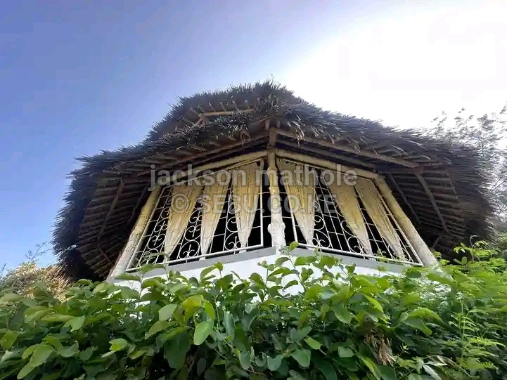 Makuti Roofing Service