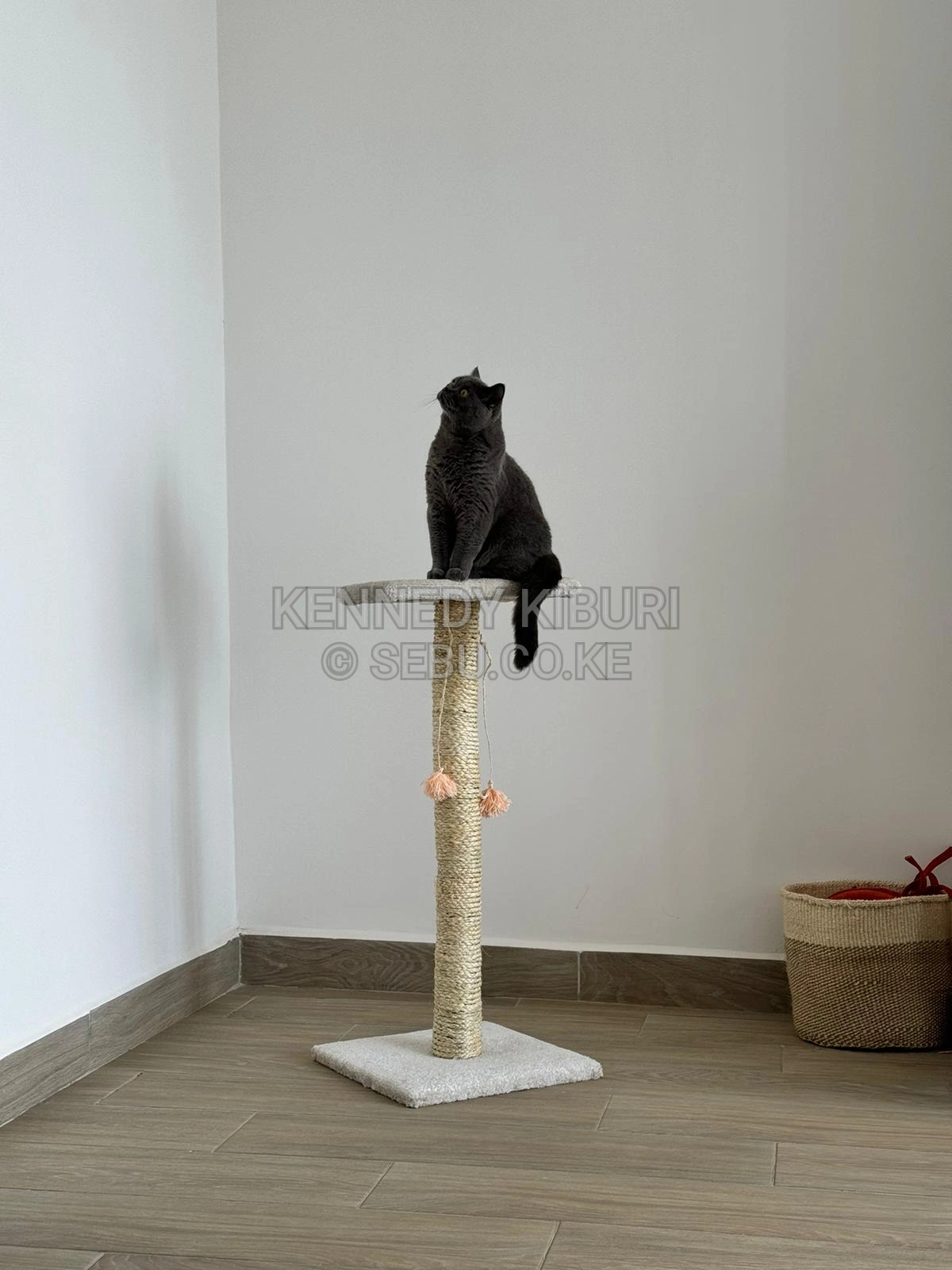Cat Scratching Post / Cat Tree/ Cat Scratchers