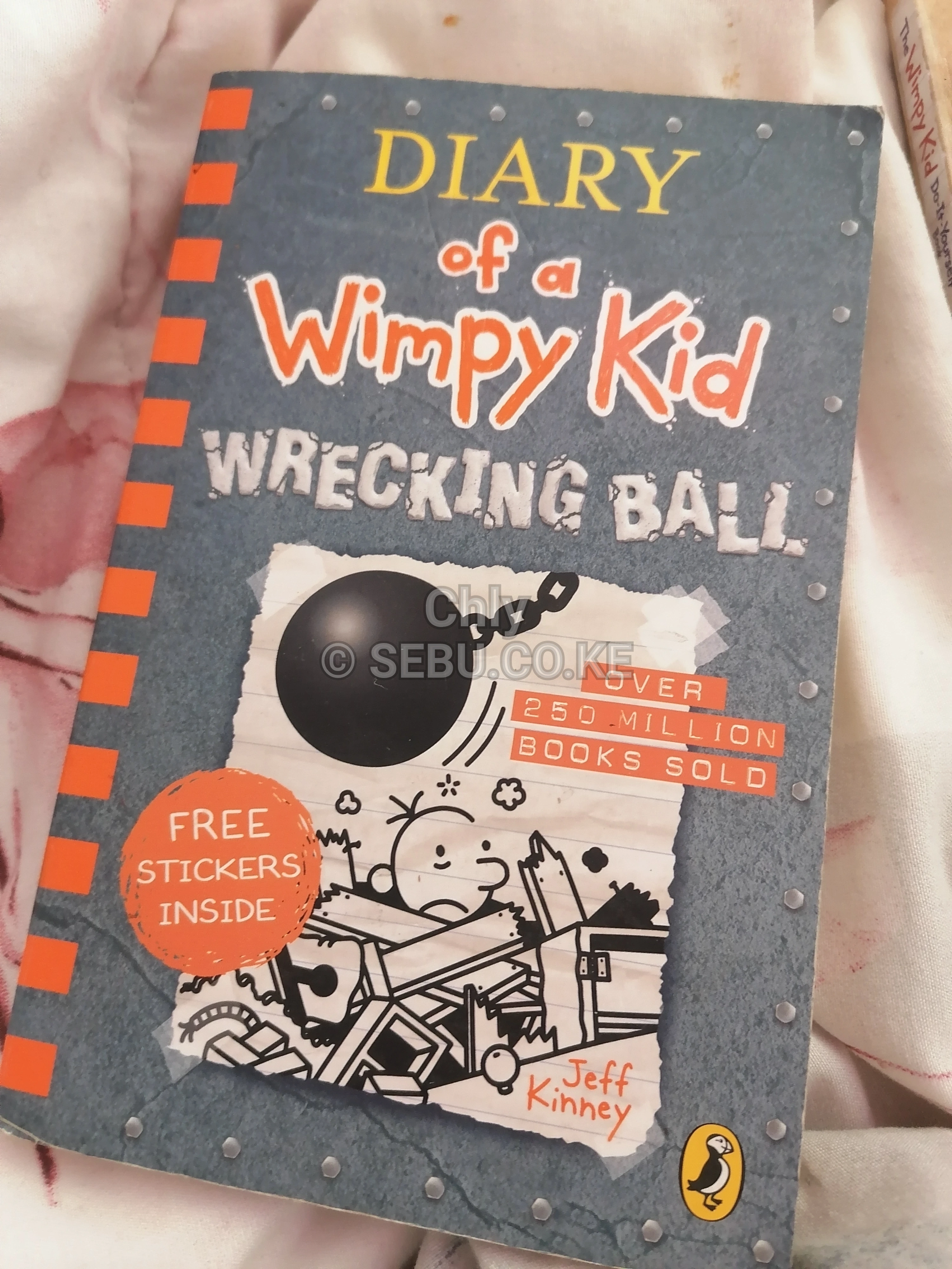 Diary Of A Wimpy Kid